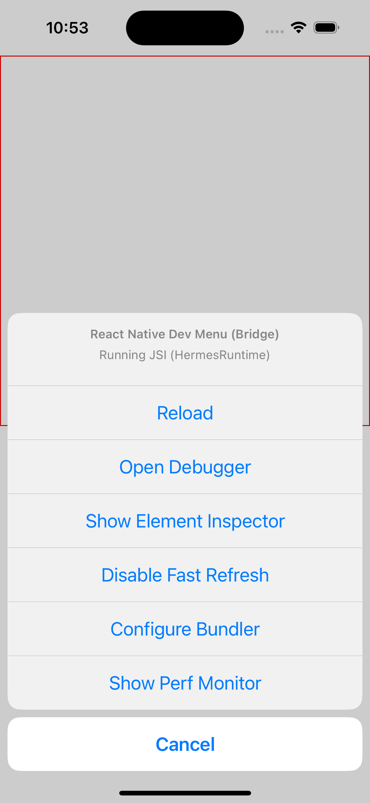 React Native Developer menu